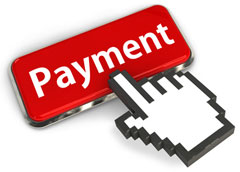 Flexible Payment Option for Web Hosting